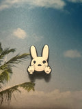 BB Crocs Charms